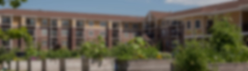 Recognizing Veterans Day in Our Communities